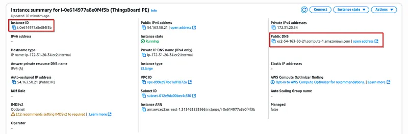 Instance summary