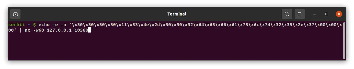 Terminal — binary message sent; connection kept open with -w60 to receive a downlink response