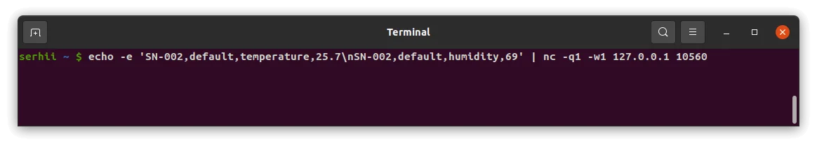 Terminal — two newline-delimited text messages sent; connection closes after 1 s