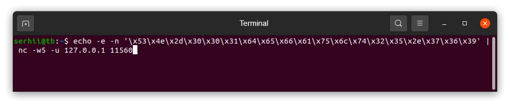 Terminal — binary payload sent to UDP integration on port 11560; no output indicates successful delivery